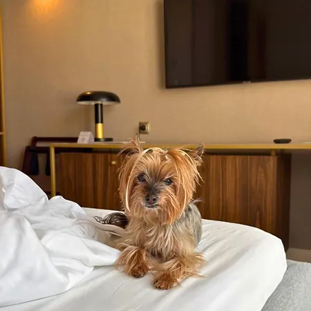 Old Town Haston 4*